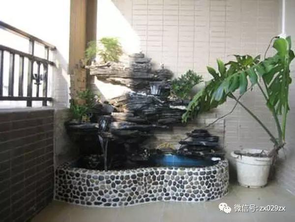 宠物cg鲨鱼型号规格:cg鲨鱼品种大全 自己砌一个宽1米，长3米的小鱼池，需要哪些工具和材料？