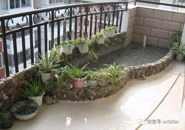 宠物cg鲨鱼型号规格:cg鲨鱼品种大全 自己砌一个宽1米，长3米的小鱼池，需要哪些工具和材料？