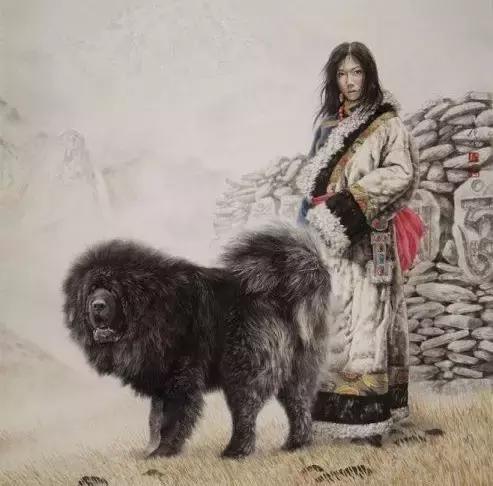 藏獒之家全部小说:你知道藏獒犬不适合家养的原因吗？