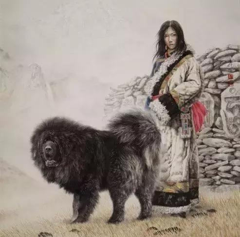 青海青獒园视频:青海战狼獒园 藏獒的价格低了，为什么喂养的人还是越来越少？为什么？