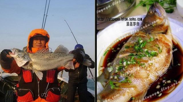 青岛海鱼的种类图片:潮汕海鱼的种类图片及名称 除夕，在青岛吃哪种鱼会比较有地域特色？