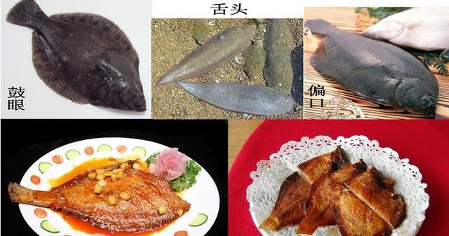 青岛海鱼的种类图片:潮汕海鱼的种类图片及名称 除夕，在青岛吃哪种鱼会比较有地域特色？