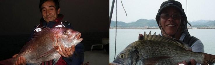 青岛海鱼的种类图片:潮汕海鱼的种类图片及名称 除夕，在青岛吃哪种鱼会比较有地域特色？