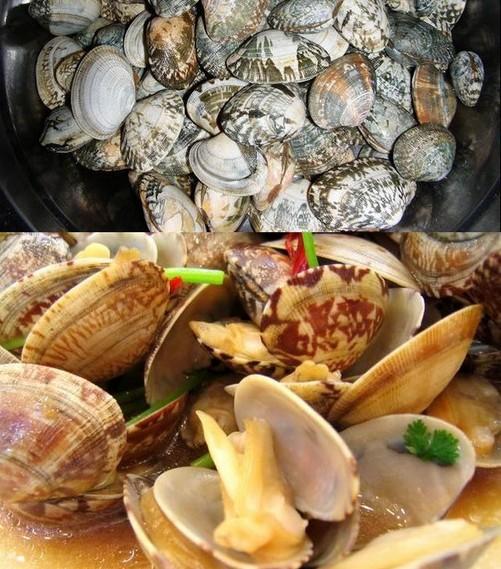 青岛海鱼的种类图片:潮汕海鱼的种类图片及名称 除夕，在青岛吃哪种鱼会比较有地域特色？