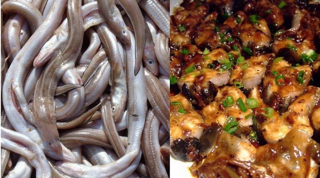 青岛海鱼的种类图片:潮汕海鱼的种类图片及名称 除夕，在青岛吃哪种鱼会比较有地域特色？