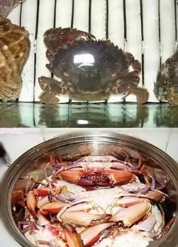 青岛海鱼的种类图片:潮汕海鱼的种类图片及名称 除夕，在青岛吃哪种鱼会比较有地域特色？
