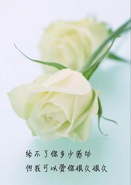 微信上用姓名做昵称的人是什么心理(微信名字微信昵称2021最新)