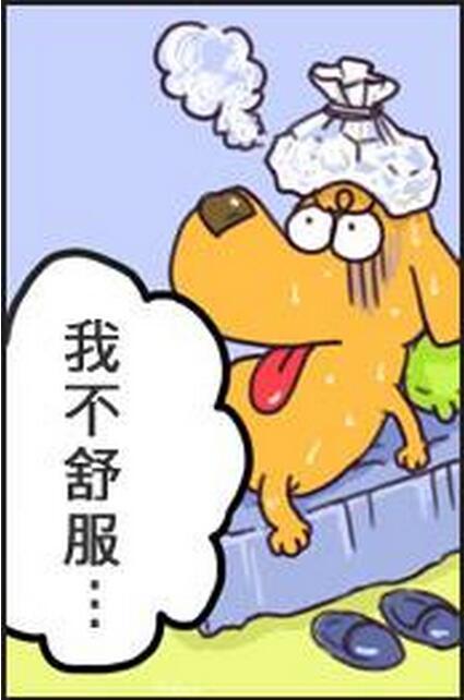 犬绦虫病传染给其他狗吗:狗狗得了细小怎么传染给别的狗狗的？ 狗狗绦虫病会传染人类吗