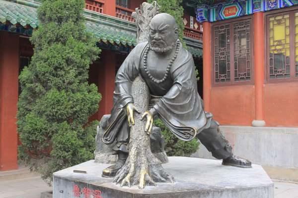 侯赛因拉扎扎德:拔起一棵柳树需要多大的力气？