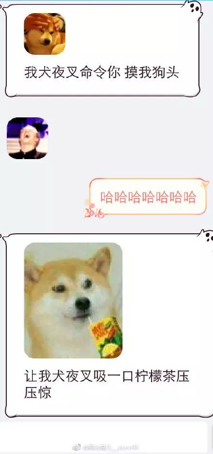 番狗犬图片:明明知道十元左右的白酒都是酒精勾兑，为什么还要买了喝？