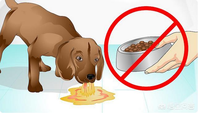 犬冠状病毒病症状图片:新型冠状病毒的症状 狗狗的犬冠状病毒疫苗有必要打吗？费用大概多少？