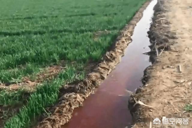 感觉现在农村好多人在打渗井,做污水处理,这样做对地下水源有影响吗？