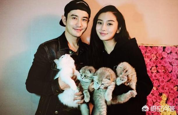陈妍希男友:你怎么看待陈晓、陈妍希这对夫妻
