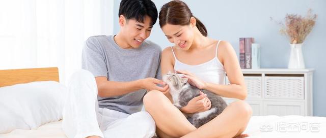 猫咪:猫咪真的不能揍么？我家养的猫咪总偷袭我，我很害怕怎么办？