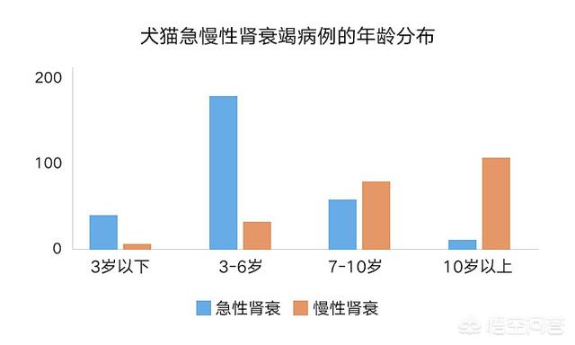 泰州宠物疾病发生调查报告:肾衰疾病越来越膨胀，快要波及到你家宝贝了？