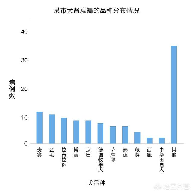 泰州宠物疾病发生调查报告:肾衰疾病越来越膨胀，快要波及到你家宝贝了？