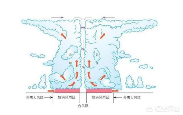 为何热带风暴变得越来越危险，原子弹能否摧毁台风台风又是怎样形成的，你知道原理吗