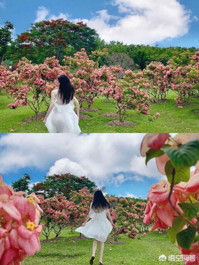 高端<a href=https://maguai.com/list/77-0-0.html target=_blank class=infotextkey><a href=https://maguai.com/list/77-0-0.html target=_blank class=infotextkey>女装</a></a>微信货源:想要高端<a href=https://maguai.com/list/77-0-0.html target=_blank class=infotextkey><a href=https://maguai.com/list/77-0-0.html target=_blank class=infotextkey>女装</a></a>的一手货源应该去哪里找(童装厂家直销一手货源去哪里找)