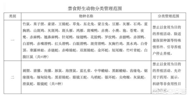 帝皇眼镜蛇王咬人:假如眼镜王蛇被竹叶青蛇咬了一下，眼镜王蛇会不会死掉？