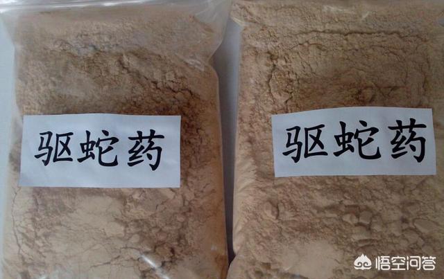 2019年11月13日关于蛇的新闻:云南一村民，在鱼塘发现4米长眼镜王蛇，为啥不让它爬上岸呢？