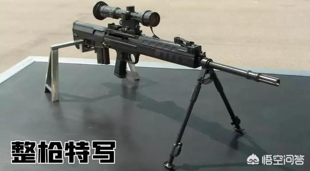 马修埃蒙斯:如何评价杨倩逆转夺得东京奥运会首金？