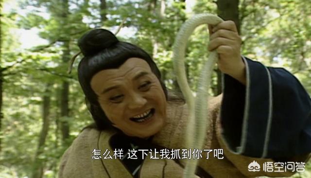 法海洞灵异事件:新白娘子传奇中，法海为什么会盯着许仙不放?背后藏着惊天秘密？