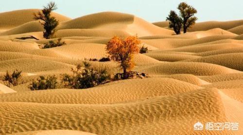 彭加木的队友，我国最大沙漠如果出现暴雨，塔克拉玛干沙漠能变成绿洲吗