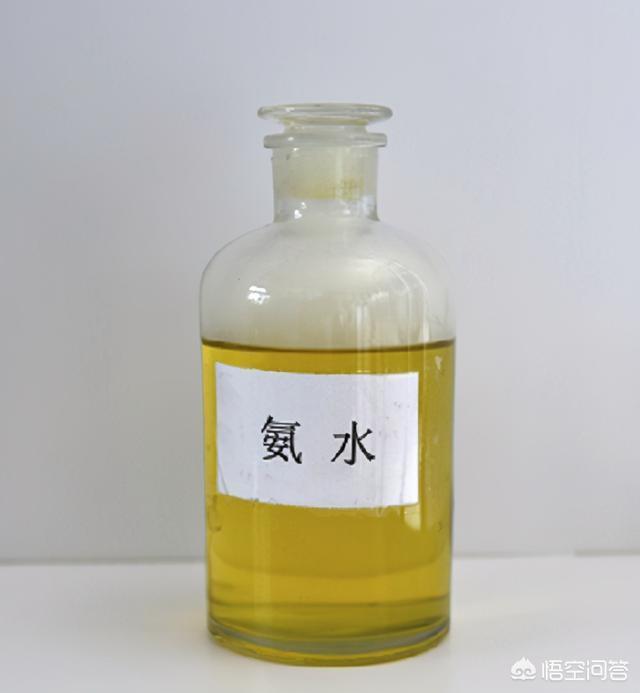 森林王蛇:农村里蛇越来越多，种什么植物可以防止夏天蛇进院子？