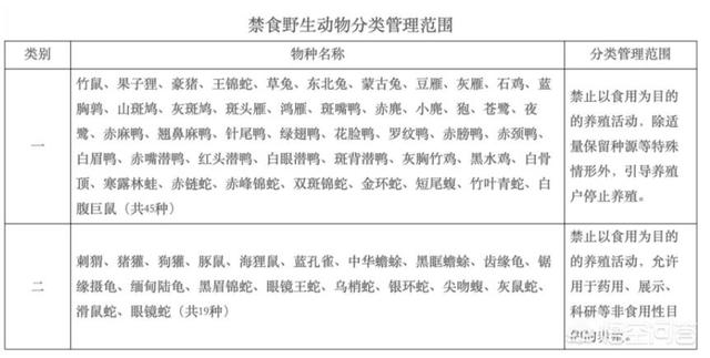 宽筐蛇尾:筐蛇尾图片 印尼巨蟒被抓，“巨蟒父母”报复人类该怎么办？