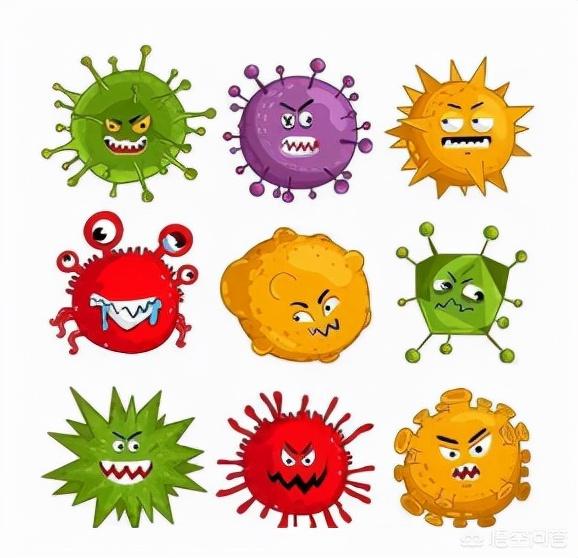 有人说酒店中马桶烧水壶枕巾被褥等是你想象不到的