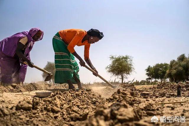 非洲土地广袤，为什么那里的人不种地，他们吃什么？插图47