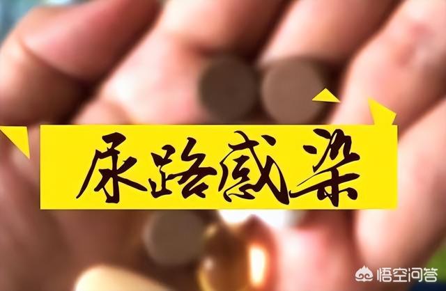 大姨妈刚走尿血是什么原因引起的:姨妈刚走同房完又出血了是怎么回事？