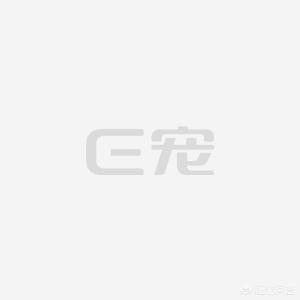 兽用狂犬疫苗种类:母猪什么时候打狂犬疫苗最好？