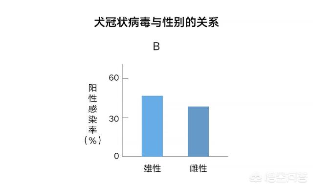 犬冠状病毒病症状图片:新型冠状病毒的症状 狗狗的犬冠状病毒疫苗有必要打吗？费用大概多少？