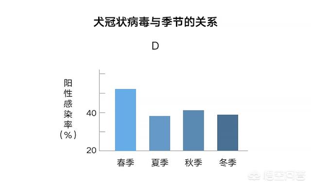 狗狗冠状是什么症状:狗狗冠状病毒是什么？急性肠炎元凶可能是它？