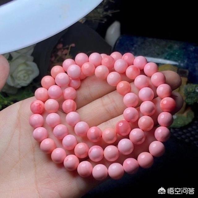 砗磲是什么东西？值钱吗？