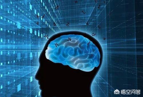 商丘市第一实验灵异事件:一个人被斩首后，其神志可以保持多长时间？