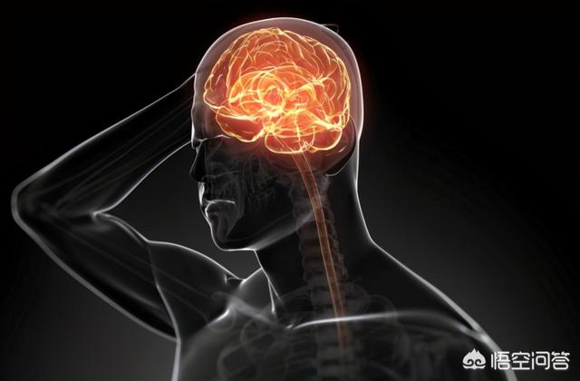 商丘市第一实验灵异事件:一个人被斩首后，其神志可以保持多长时间？