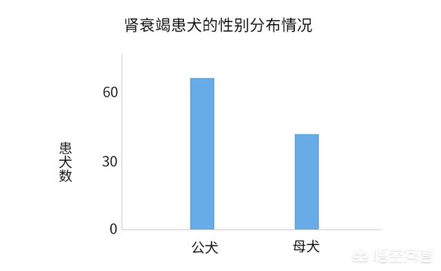 泰州宠物疾病发生调查报告:肾衰疾病越来越膨胀，快要波及到你家宝贝了？