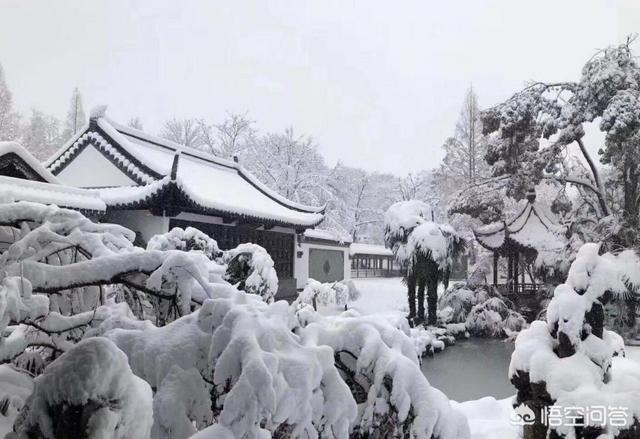 今年气温不正常是什么原因