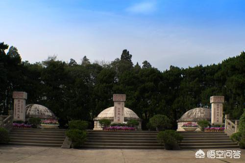 福氏耐格里变形虫:继杀人蜂之后，食脑虫又入侵美国，致死率更高，您怎么看这问题？