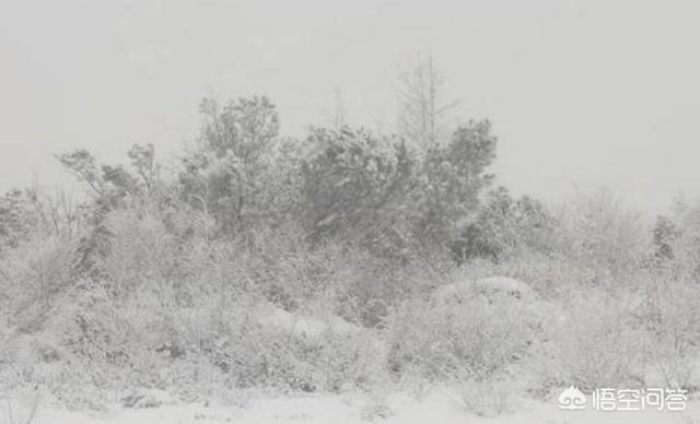 小冰河时期:东北地区立夏后下雪今年气温很低地球是不是进入小冰河期了？