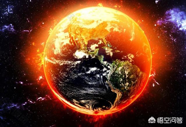 重大动物疫情报告期间:疫情期间地球发生哪些变化《地球改变之年》野生动物发展之年？
