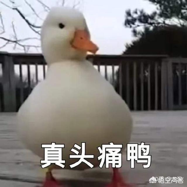 私密聊天软件有哪些?你手机里的宝藏软件？