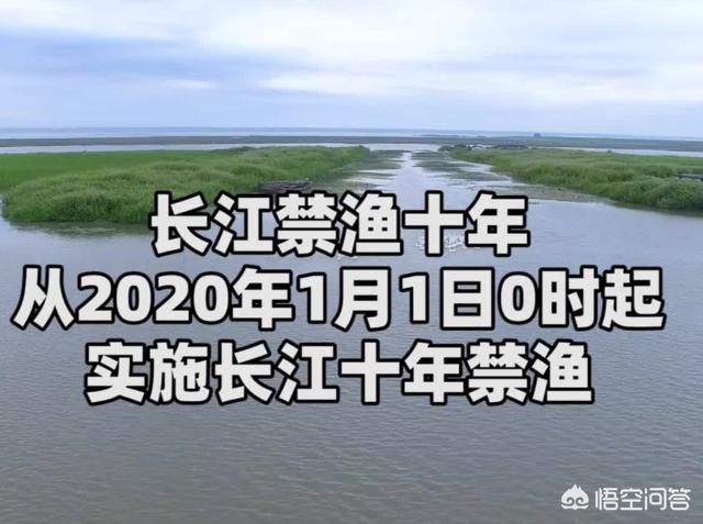 长江为什么是江，黄河为什么是河，江和河的区别在哪？插图44