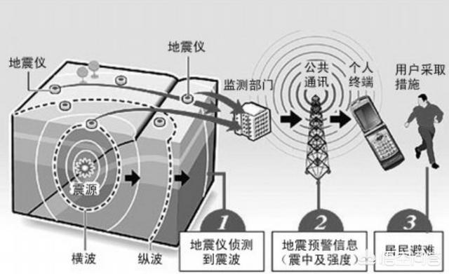 卡布达是什么昆虫，“预知地震”昆虫真的存在这种能力吗