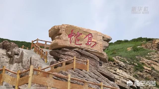 平塔岛海鬣蜥:加拉帕克斯群岛海鬣蜥 大连蛇岛上的两万多条蛇，都吃什么的？有什么够它们吃的吗？