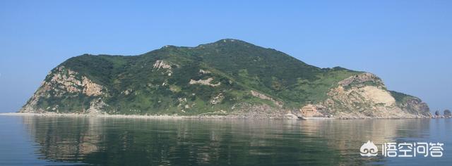 平塔岛海鬣蜥:加拉帕克斯群岛海鬣蜥 大连蛇岛上的两万多条蛇，都吃什么的？有什么够它们吃的吗？