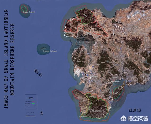 平塔岛海鬣蜥:加拉帕克斯群岛海鬣蜥 大连蛇岛上的两万多条蛇，都吃什么的？有什么够它们吃的吗？