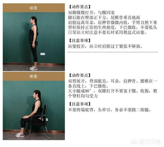 女生小肚子有条线是什么，人鱼线、马甲线、AB线分别是什么怎么练